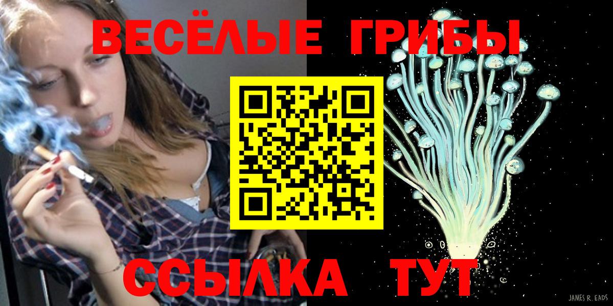 Псилоцибиновые грибы Psilocybe Полысаево